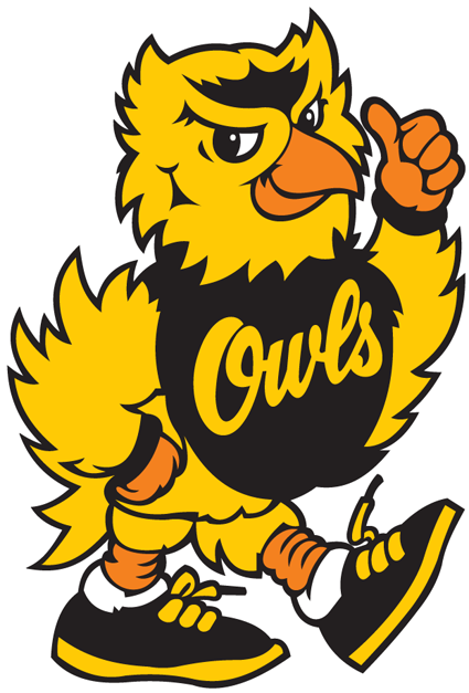 Kennesaw State Owls 1992-2011 Mascot Logo DIY iron on transfer (heat transfer)